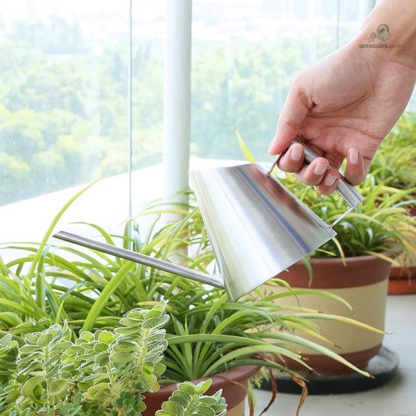 Arrosoir en acier inox pour jardinage