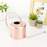 Design moderne d'un arrosoir en rose gold