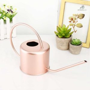 Design moderne d'un arrosoir en rose gold
