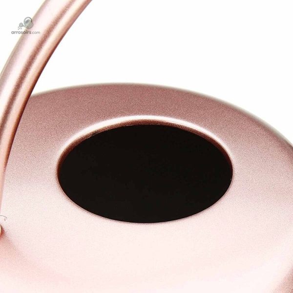 Arrosoir en métal rose gold pour l'hydratation des plantes