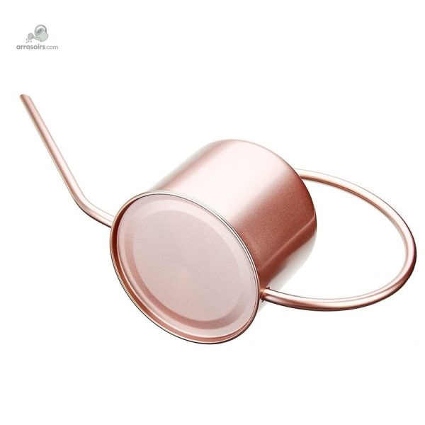 Arrosoir rose gold, un must-have pour les jardiniers