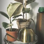Arrosoir déco doré élégant pour l'entretien des plantes