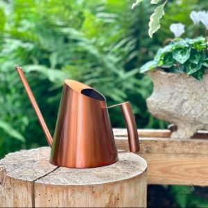 Arrosoir d'intérieur cuivré au design élégant