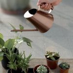 Design raffiné : arrosoir cuivré pour les plantes d'intérieur