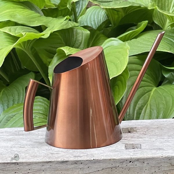Arrosoir design en métal cuivré pour plantes d'intérieur