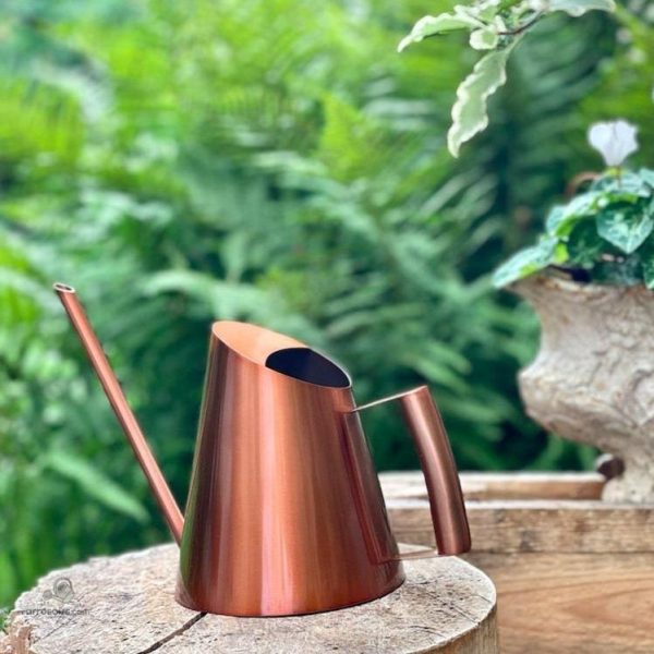 Arrosoir moderne en cuivre, idéal pour les fleurs d'intérieur