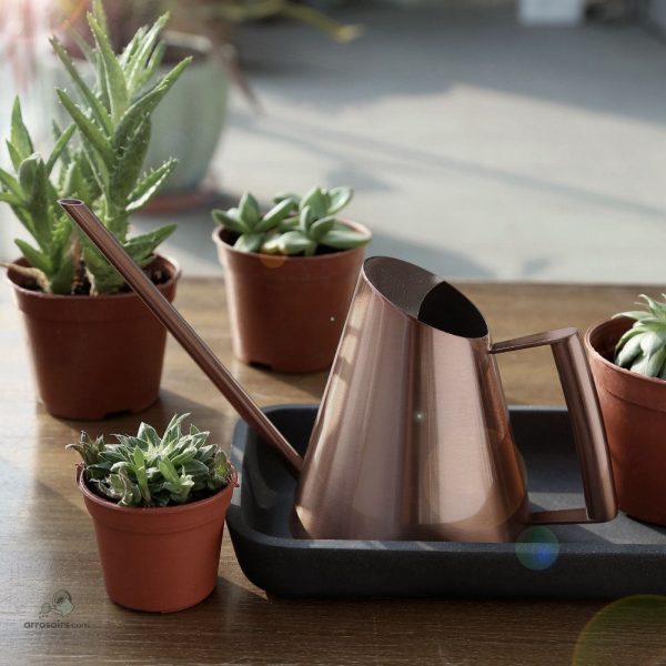 Arrosoir à la finition cuivrée, parfait pour la maison