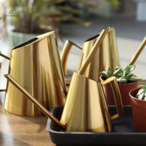 Arrosoir d'intérieur doré élégant pour plantes d'intérieur