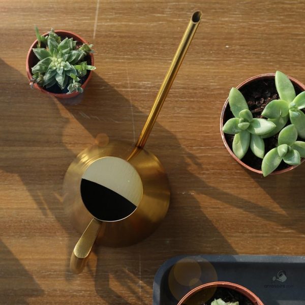Accessoire doré pour l'entretien des plantes d'intérieur