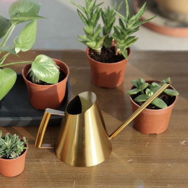 Arrosoir design doré, parfait pour la décoration intérieure