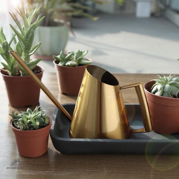 Arrosoir élégant en doré pour sublimer vos plantes