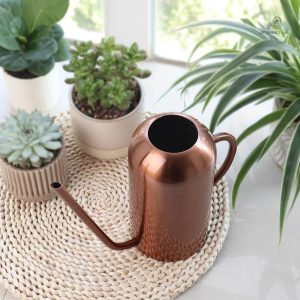 Design élégant d'un arrosoir long bec en cuivre