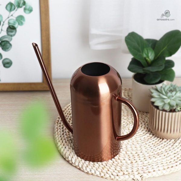 Arrosoir en cuivre, parfait pour les plantes d'intérieur