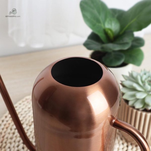 Accessoire de jardinage : arrosoir long bec en métal cuivré