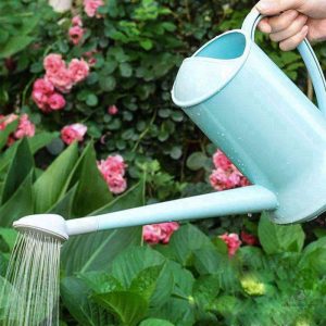 Arrosoir design en plastique élégant et fonctionnel