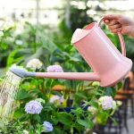 Arrosoir design minimaliste pour un arrosage efficace