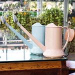 Arrosoir design pratique pour l'intérieur et l'extérieur