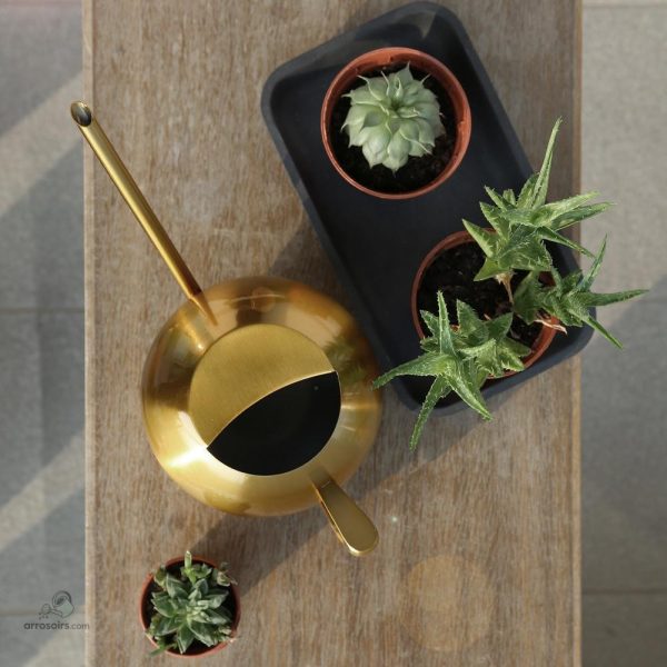 Arrosoir doré en métal, accessoire indispensable pour les plantes