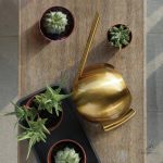 Arrosoir en métal brillant, idéal pour arroser les fleurs