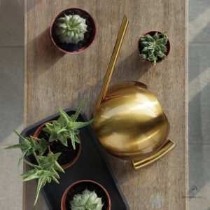 Arrosoir en métal brillant, idéal pour arroser les fleurs