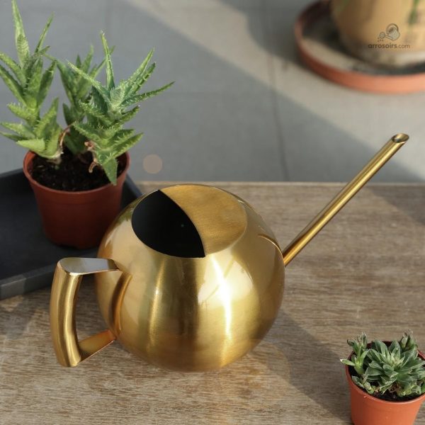 Élégant arrosoir doré, ajout décoratif pour le jardin