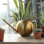 Arrosoir en métal doré, pratique pour l'entretien des plantes