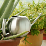 Outil d'arrosage en inox, style contemporain