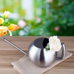 Arrosoir Sphère Design, alliage inox durable