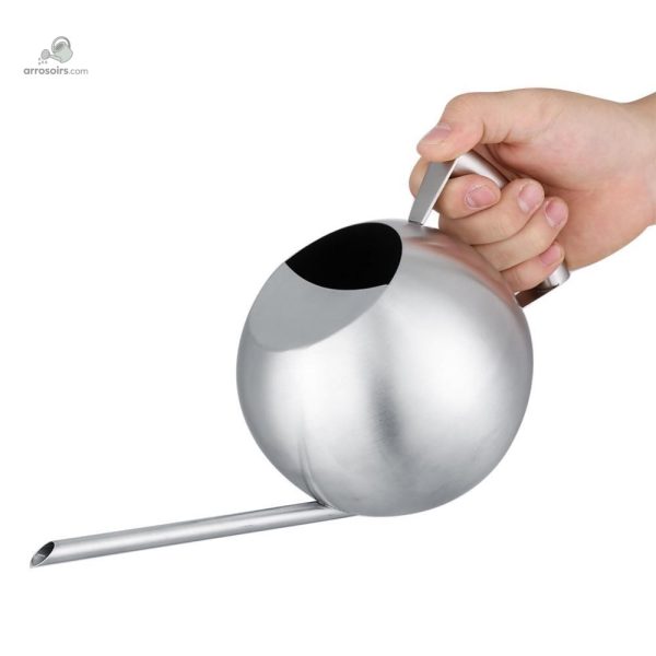 Élégant arrosoir en inox pour entretien des plantes