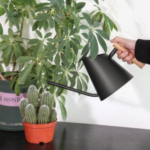 Arrosoir design en bois pour l'entretien des plantes