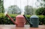Arrosoir jardin en plastique, design long bec pratique