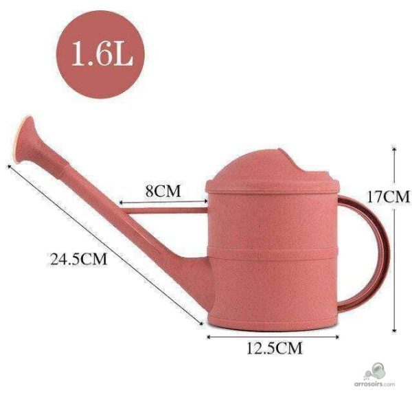 Accessoire de jardin : arrosoir long bec pour facilité d'utilisation