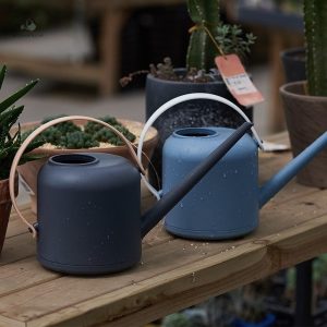 Arrosoir design en plastique pour un arrosage efficace