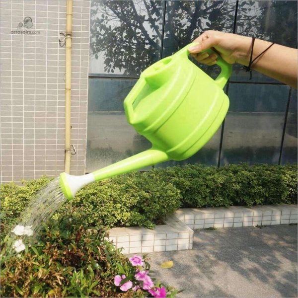 Arrosoir Bonsaï Japonais élégant pour l'entretien des plantes