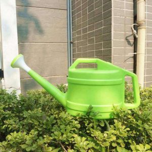 Arrosoir pour Bonsaï au design japonais traditionnel