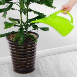 Outil de jardinage pratique pour arroser les plantes