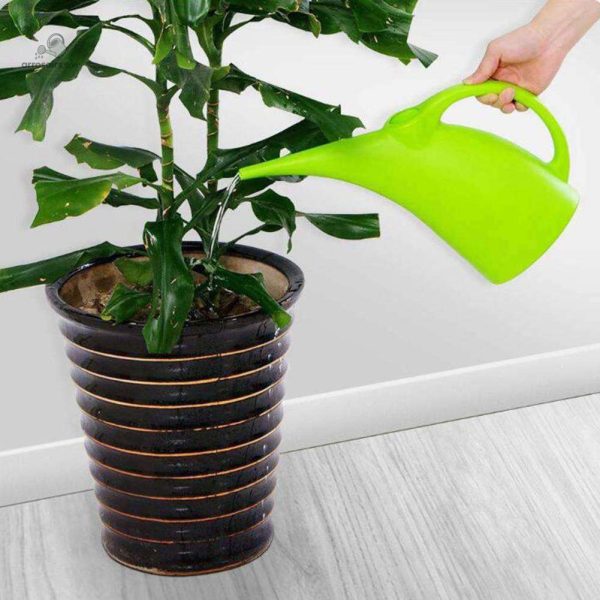 Outil de jardinage pratique pour arroser les plantes
