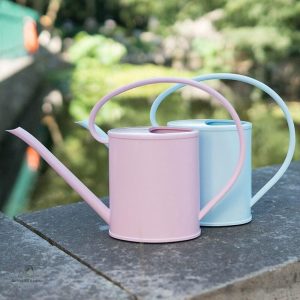 Arrosoir Fantaisie coloré pour l'arrosage des plantes
