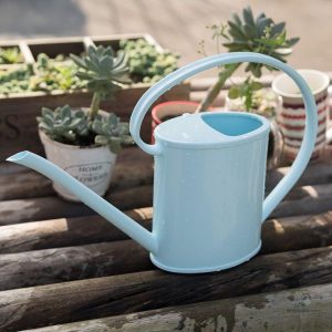 Arrosoir léger en matériau durable et esthétique