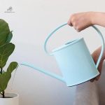 Arrosoir élégant pour ajouter une touche de fantaisie