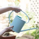 Arrosoir à motif unique pour embellir votre jardin