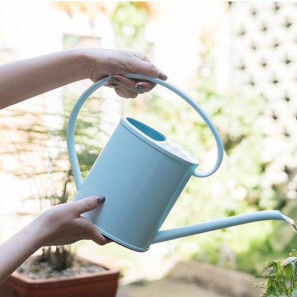 Arrosoir à motif unique pour embellir votre jardin