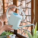 Arrosoir stylé parfait pour les amateurs de jardinage
