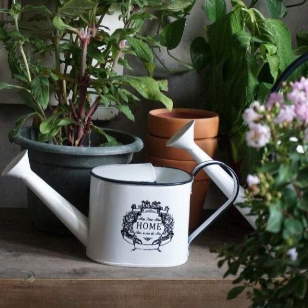 Arrosoir décoratif en métal blanc pour le jardin