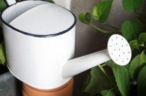 Arrosoir en fer blanc au design classique et épuré