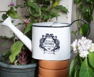 Pratique arrosoir blanc en fer pour arroser les plantes