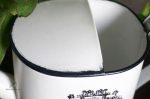 Arrosoir en fer blanc, accessoire de jardinage essentiel