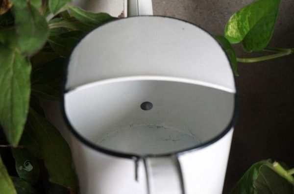 Arrosoir en métal blanc, idéal pour les fleurs d'intérieur