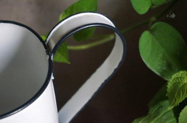 Arrosoir léger en fer blanc, parfait pour le jardinage