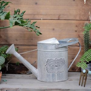 Arrosoir fleuri en métal pour l'arrosage des plantes